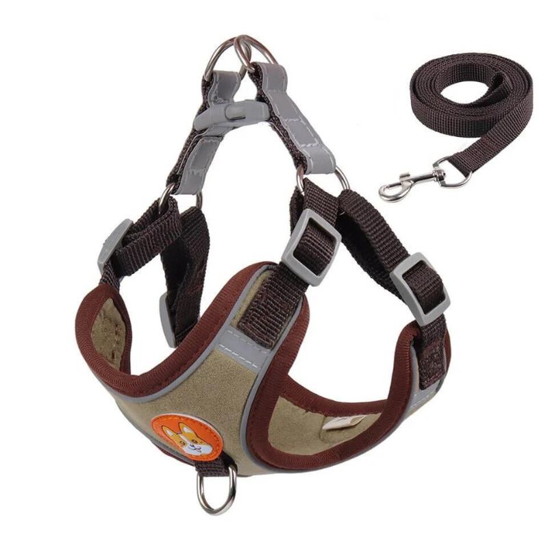 Doxie Reflective Harness & Leash