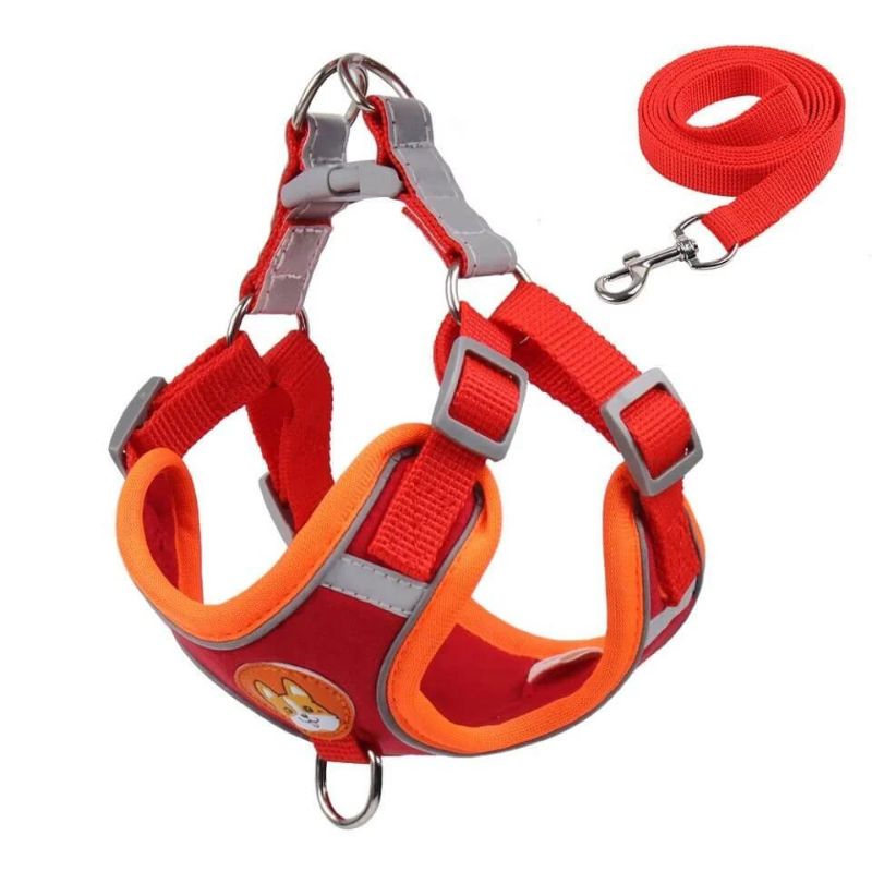 Doxie Reflective Harness & Leash