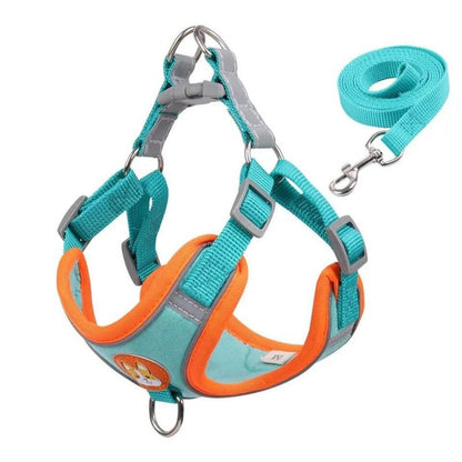 Doxie Reflective Harness & Leash