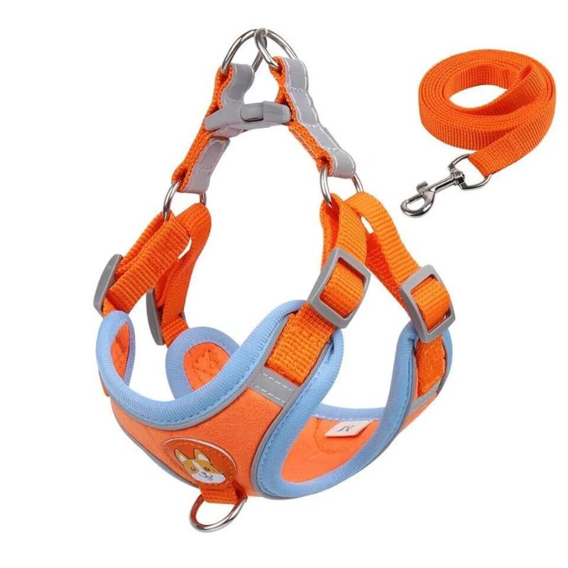 Doxie Reflective Harness & Leash