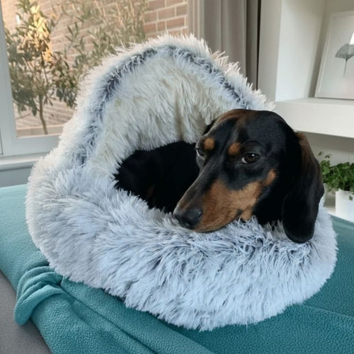 Cama Cueva Suave para Perros Salchicha