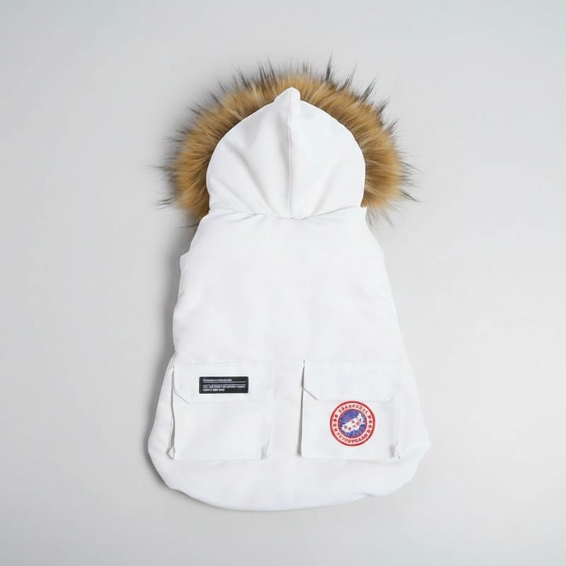 Parka Dachshund Coat