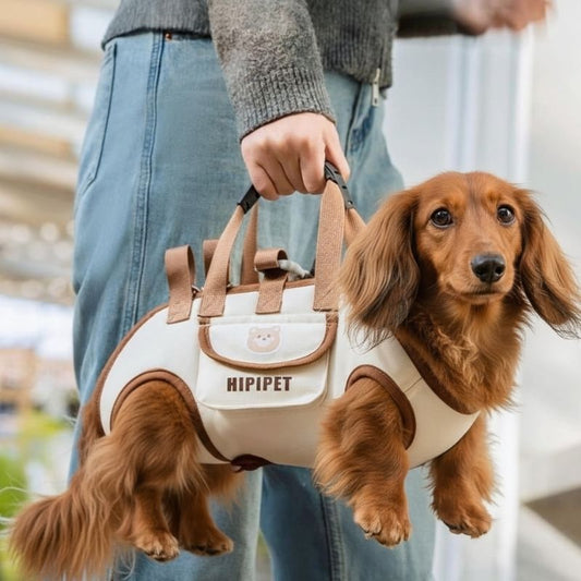 Shoulder Carrier For Dachshunds