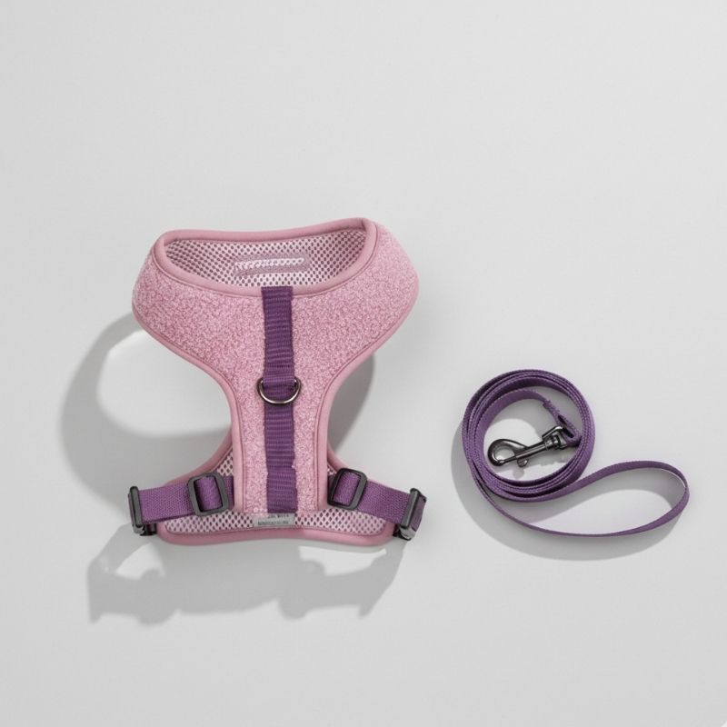Soft Doxie Harness