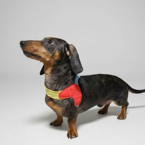 Space Pop Doxie Harness
