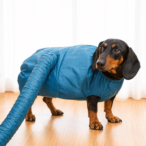 Speedy Dachshund Drying Bag flat lay