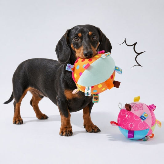 Squeaky Ball Interactive Dachshund Toy