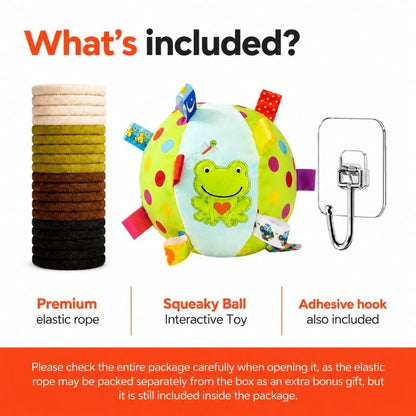 Squeaky Ball Interactive Dachshund Toy