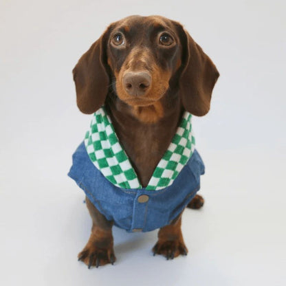 SS Jeansjacke für Hunde