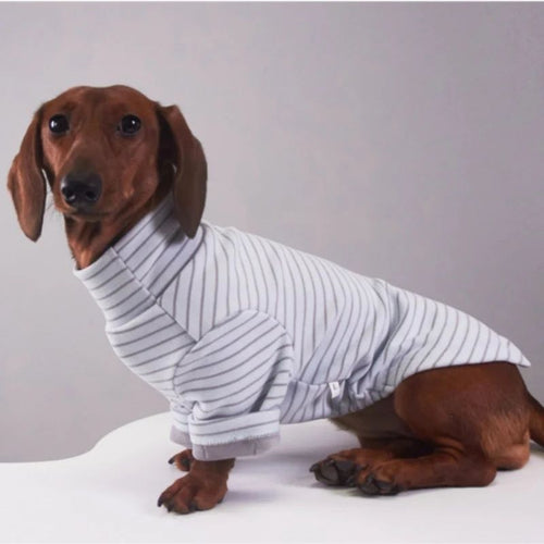 SugarStripe Dackel Strampler