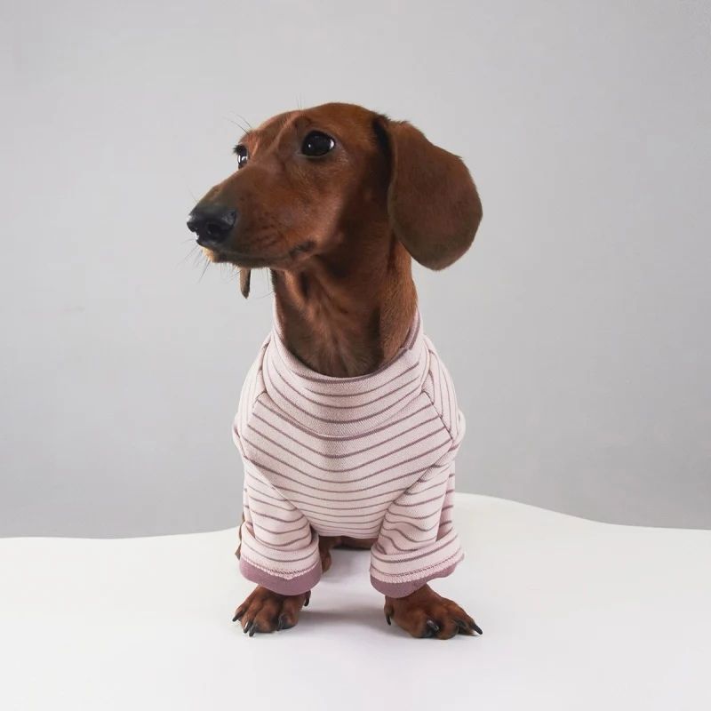 SugarStripe Dackel Strampler