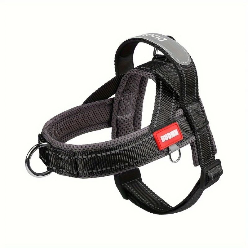 Summer Dachshund Harness