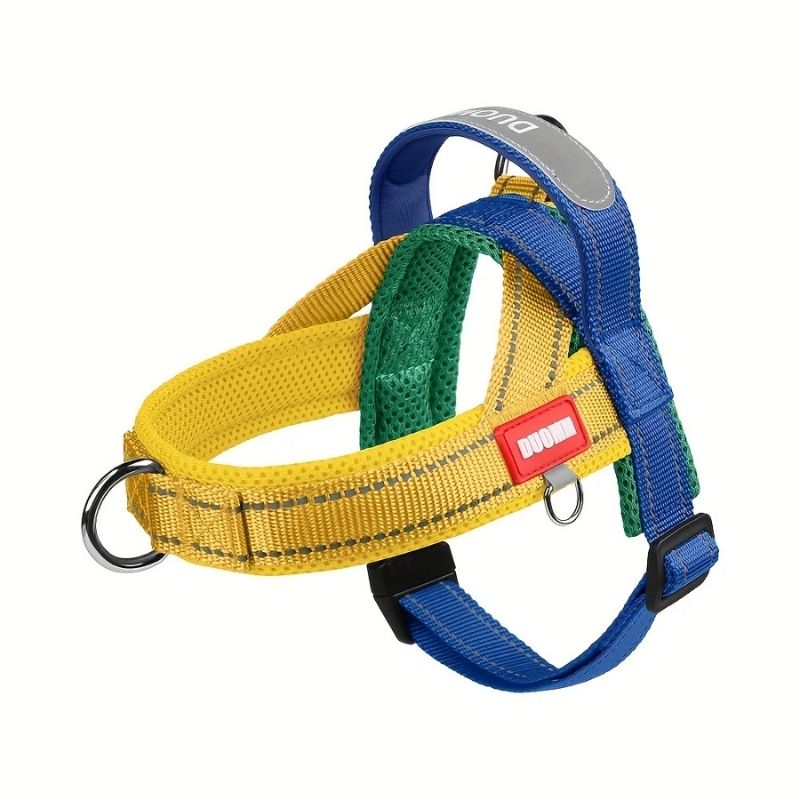Summer Dachshund Harness