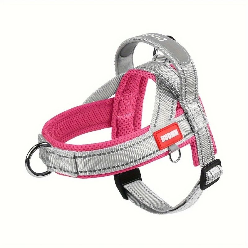 Summer Dachshund Harness