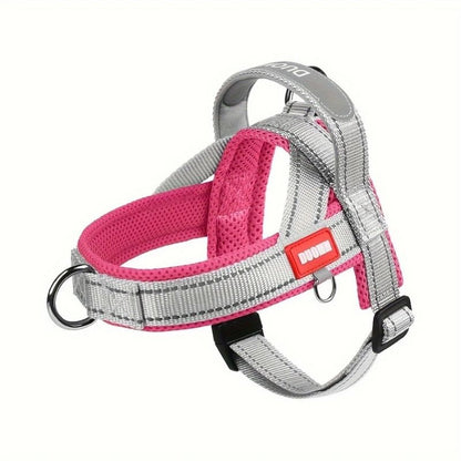 Summer Dachshund Harness