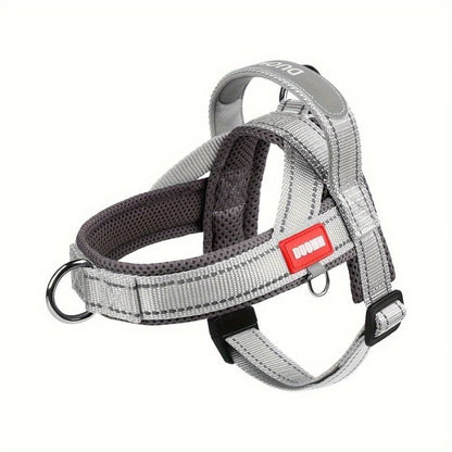 Summer Dachshund Harness