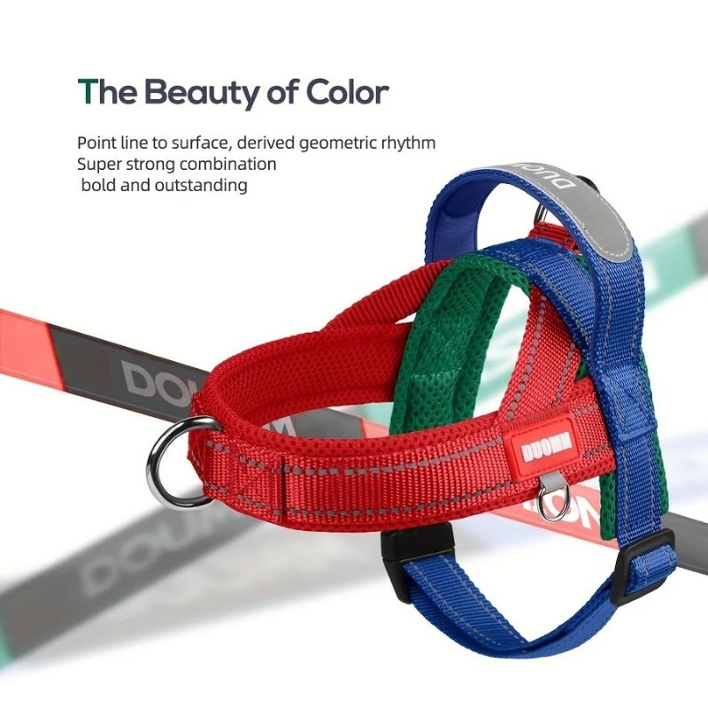 Summer Dachshund Harness
