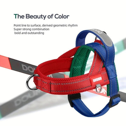Summer Dachshund Harness