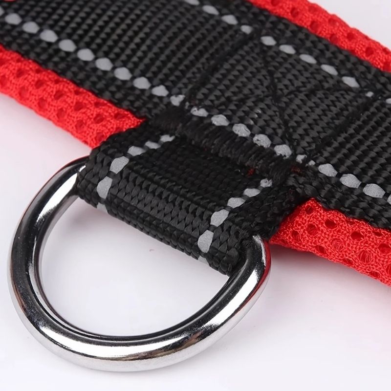 Summer Dachshund Harness