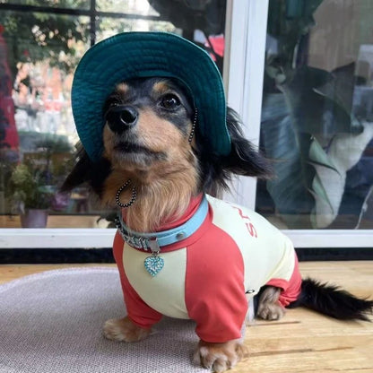 SunProtect Dachshund Onesie