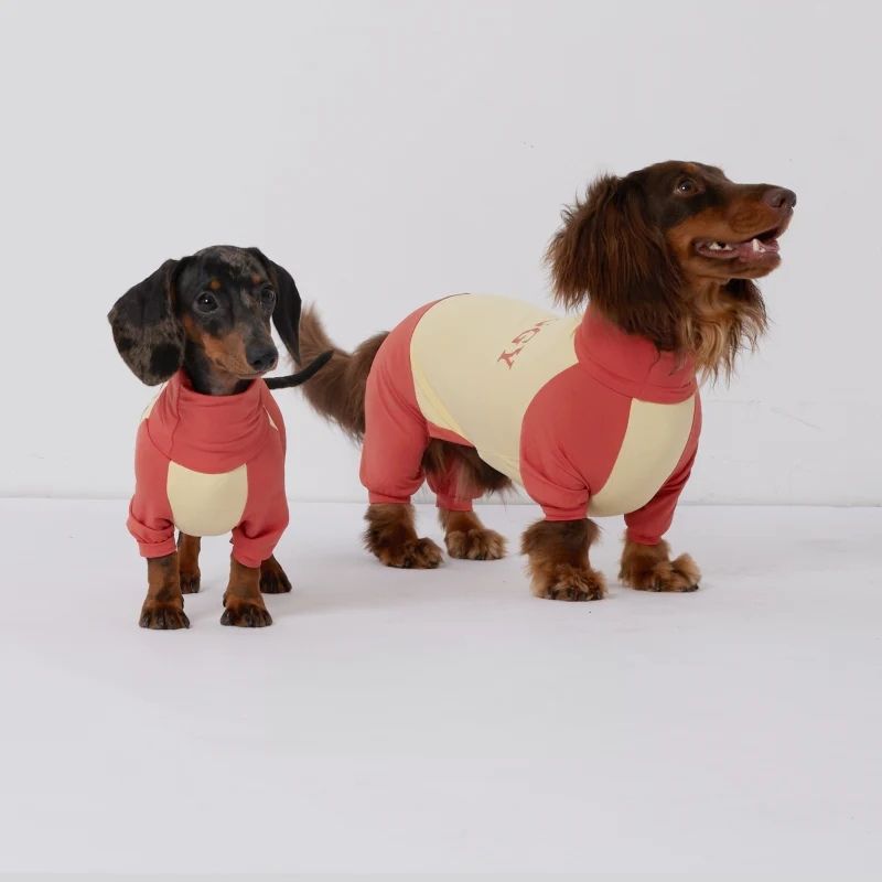 SunProtect Dachshund Onesie