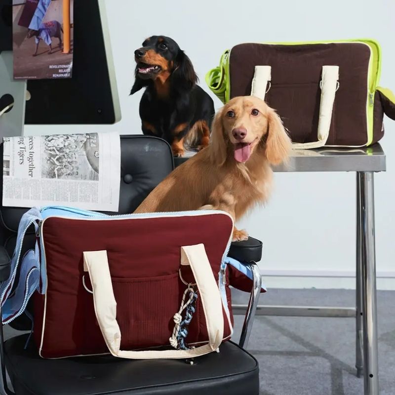 Urban Explorer Dachshund Carrier Bag