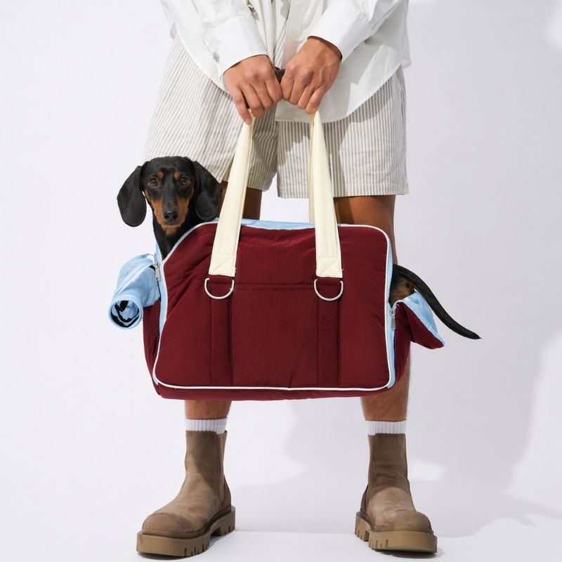 Urban Explorer Dachshund Carrier Bag