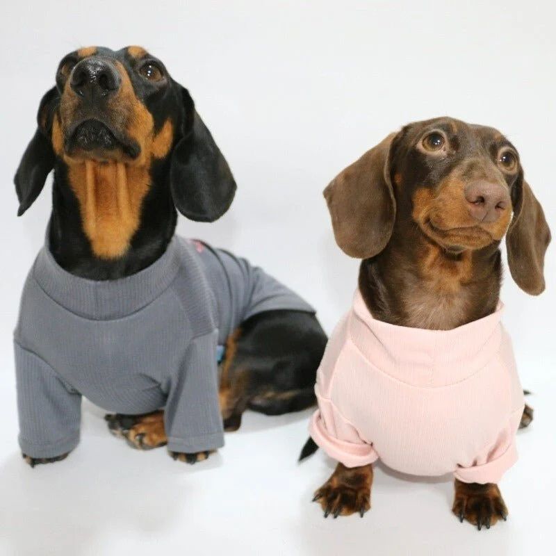Valentine Dackel Sweatshirt