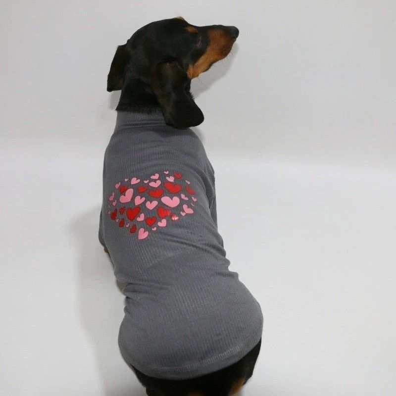 Valentine Dackel Sweatshirt