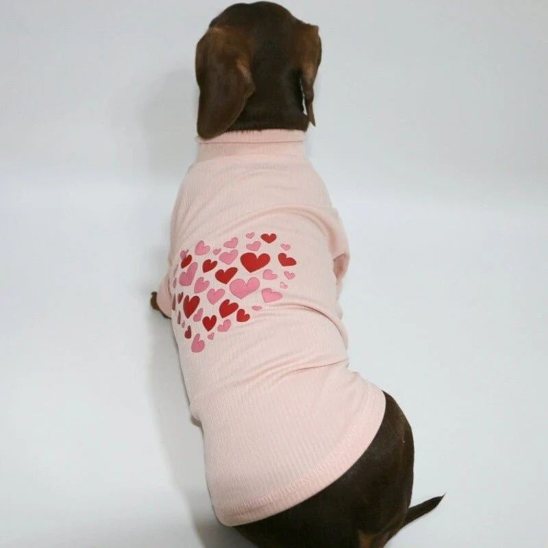 Valentine Dackel Sweatshirt