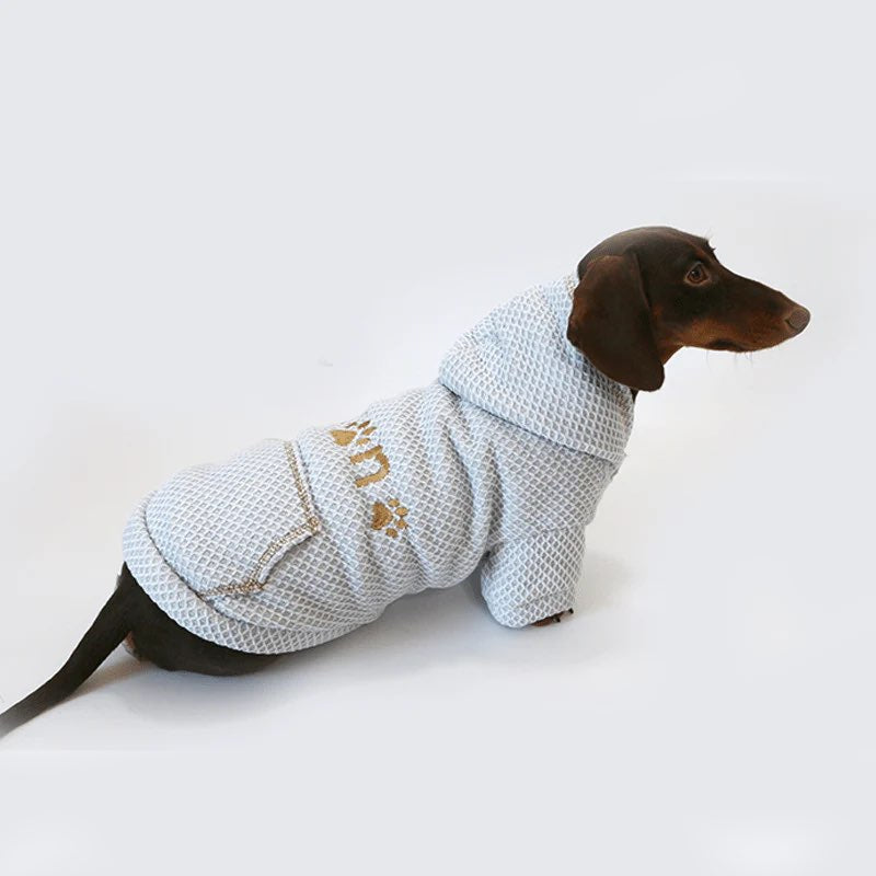 Waffle Doxie Hoodie on dachshund 1