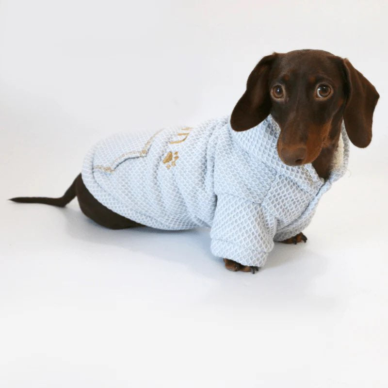 Waffle Doxie Hoodie on dachshund 2