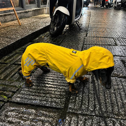 Dachshund wearing the Waterproof Jumpsuit on a rainy city street