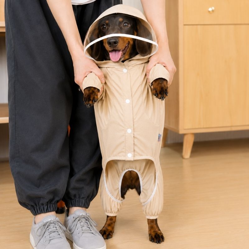 Waterproof Sausage Dog Jumpsuit