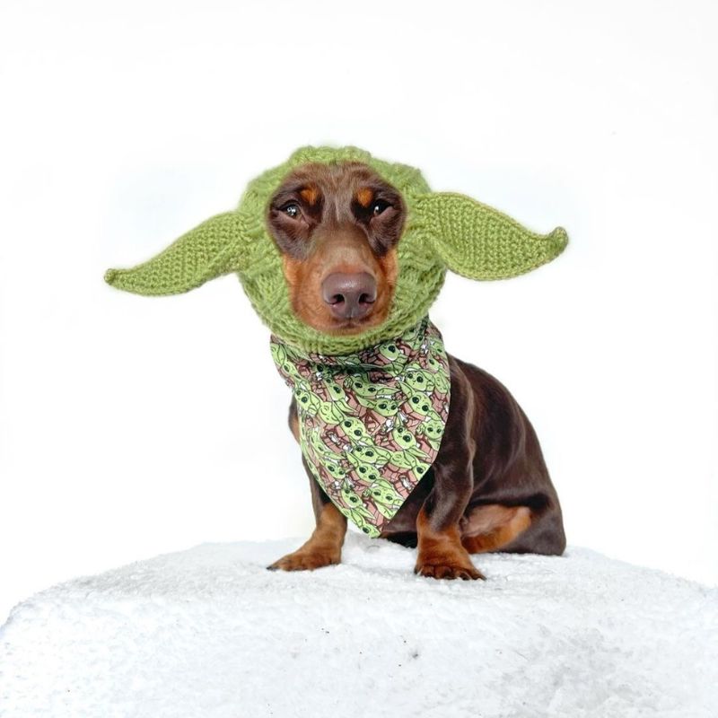 Yoda Halloween Dachshund Hat