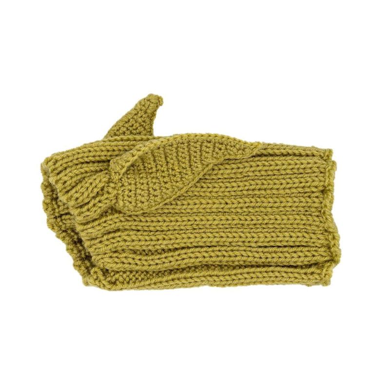 Yoda Halloween Dachshund Hat