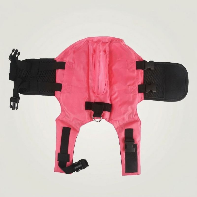 Dachshund Shark Vest