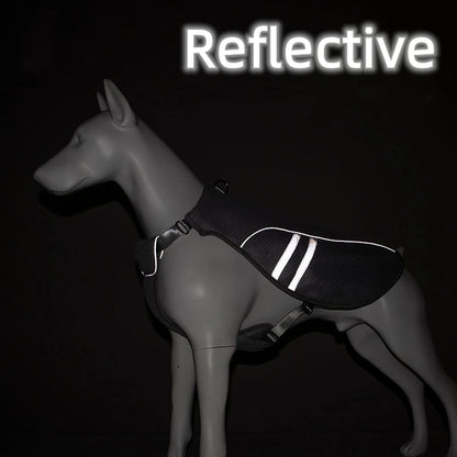 Mesh Dachshund Cooling Vest - side view