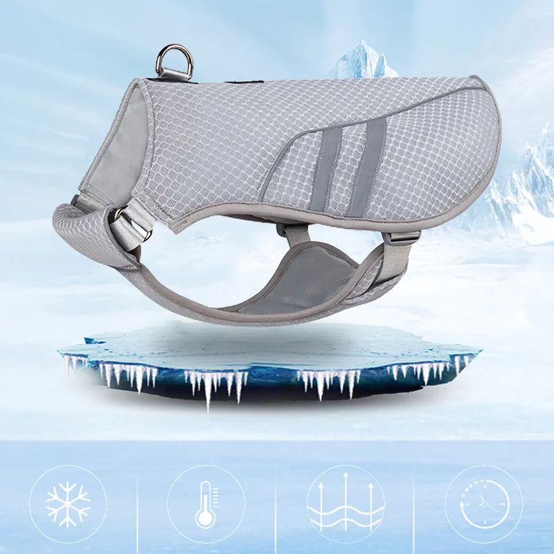 Mesh Dachshund Cooling Vest - main view