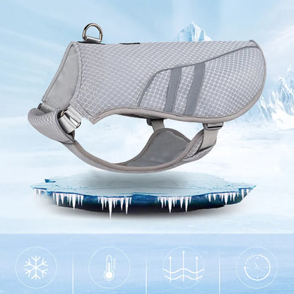 Mesh Dachshund Cooling Vest - main view